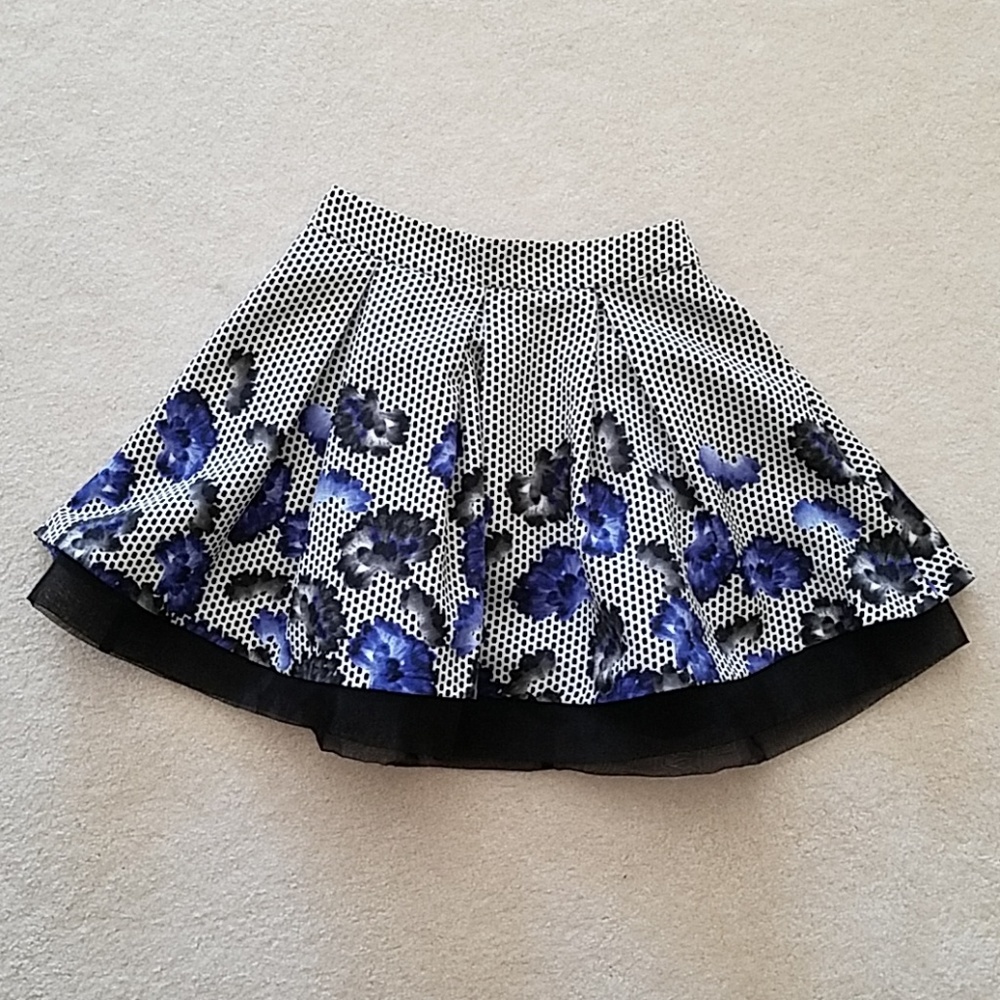 Express skirt